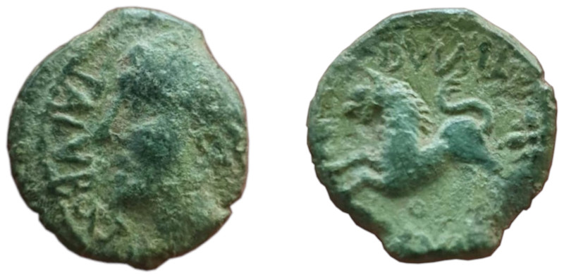 2023-12 CN238 Bronze au lion inédit TALVBOCTOS / DVNO[