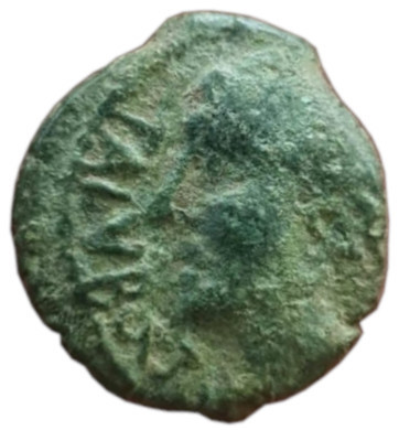 2023-12 CN238 Bronze au lion inédit TALVBOCTOS / DVNO[
